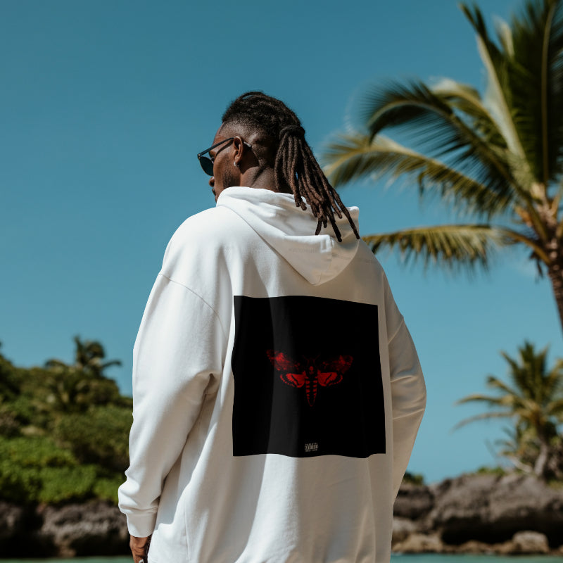 Drake-Lil Wayne Album